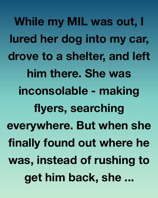 The Dog I Left At The Shelter